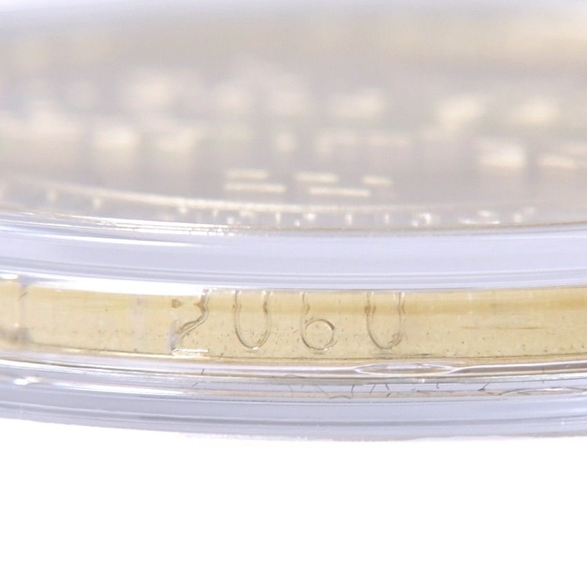 世界5000枚 ドジャース ワールドシリーズ 2025 優勝記念 コイン MLB公式 39mm 記念グッズ ゴールド プレートコイン シリアルナンバー DODGERS 24金メッキ メジャーリーグ 大谷翔平 山本由伸 佐々木朗希 WWW_NOITHATQUANGTHANH_NET