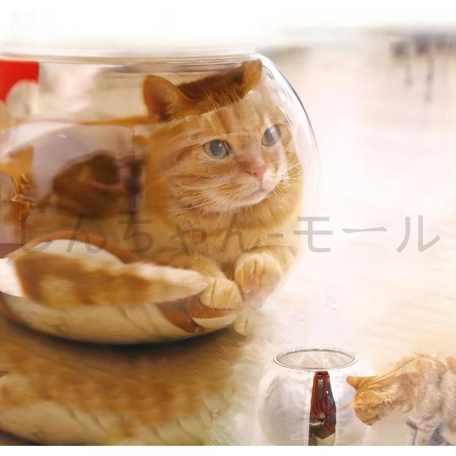 【激レア】にゃんにゃんにゃんこ　金魚鉢　小物入れ にゃんにゃんにゃんこ にゃんこ休み 金魚鉢風小物入れ - メルカリ