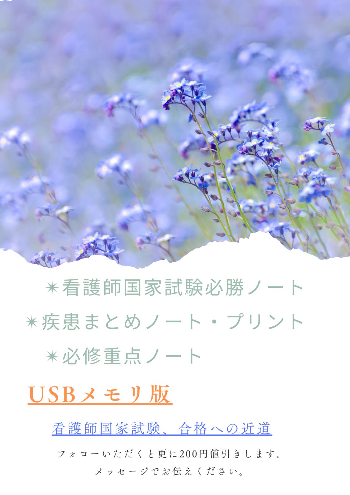 看護師国家試験対策 付箋ノート USB版 トの通販