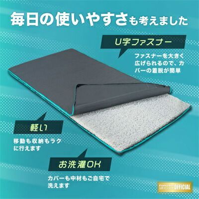 フランスベッド ボディテクト