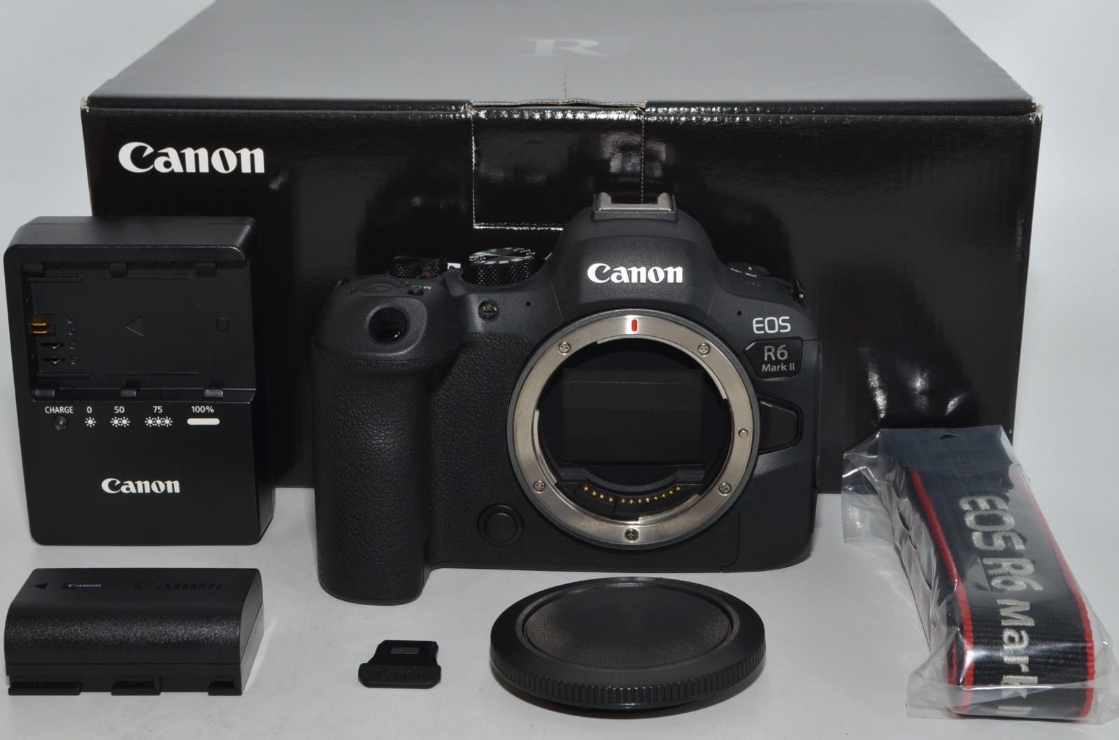 250883 キヤノン EOSR6MK2 ミラーレスカメラ EOS R6 Mark II ボディー