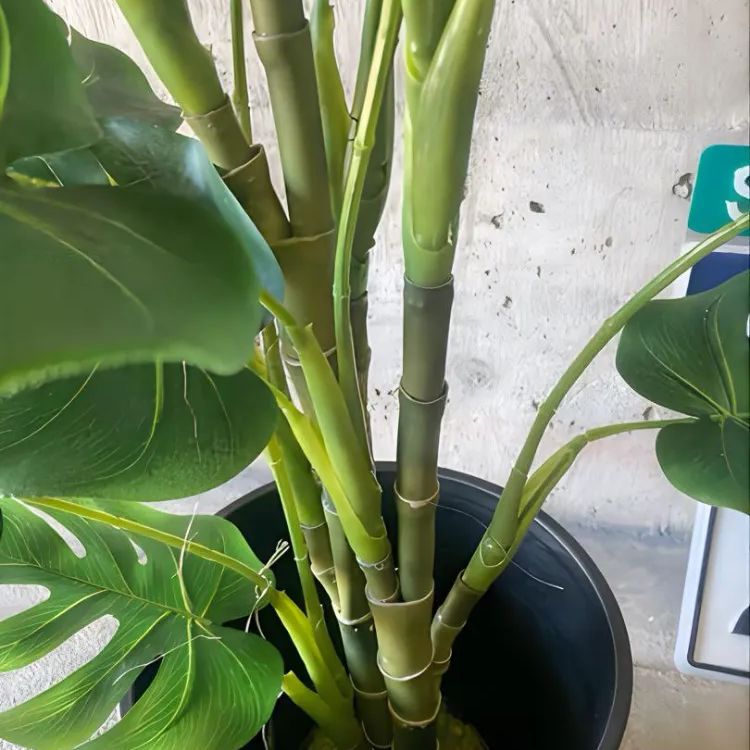 光触媒 人工観葉植物 ウォールグリーン フェイクグリーン モンステラ