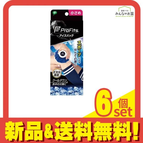 プロ フィッツ アイスバッグ 1個入 小さめサイズ 6個セット