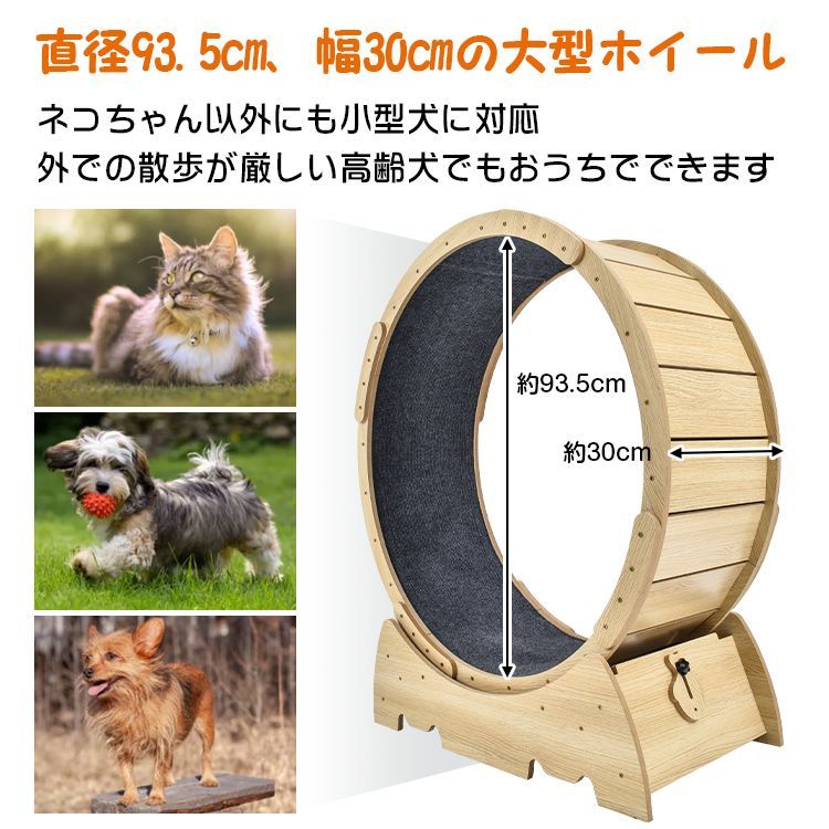 トレッドミル キャット