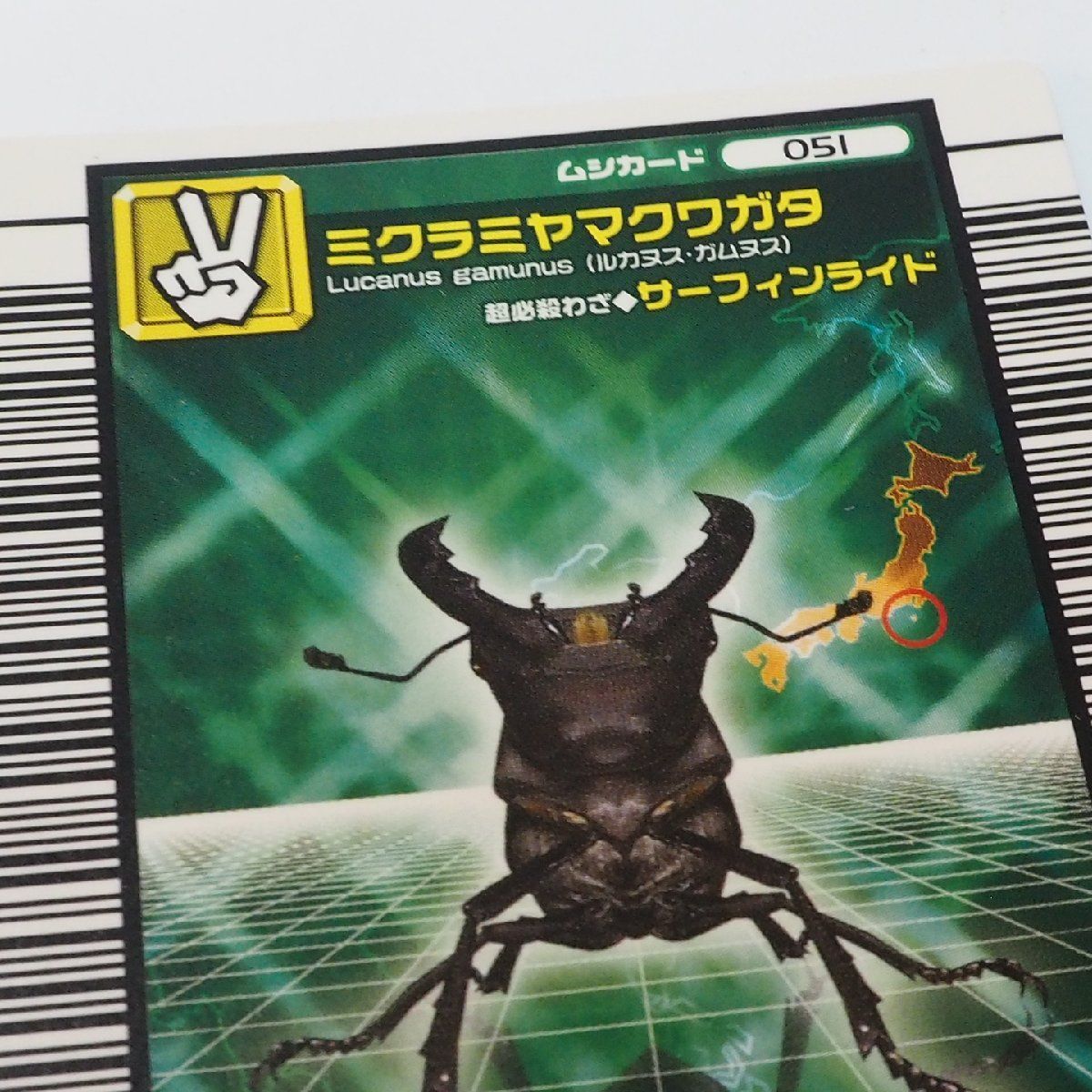 甲虫王者ムシキング【051 ミクラミヤマクワガタ ムシカード
