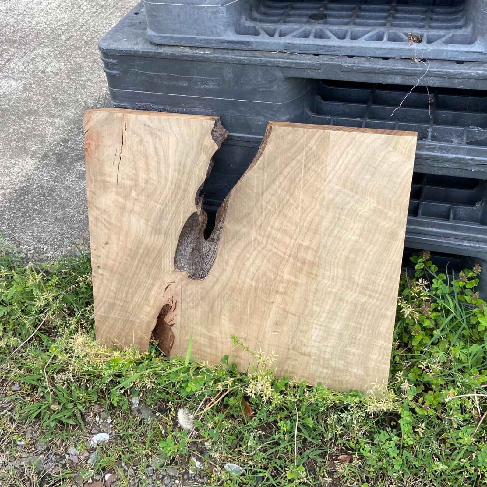 神代クス 木材 楠 無垢材 銘木 木工作品 手作り家具 インテリア