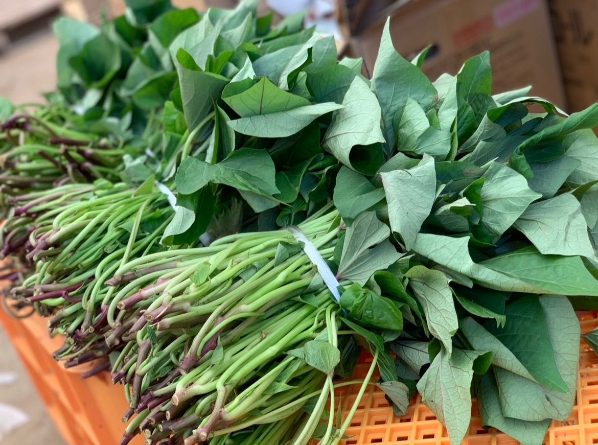 500本