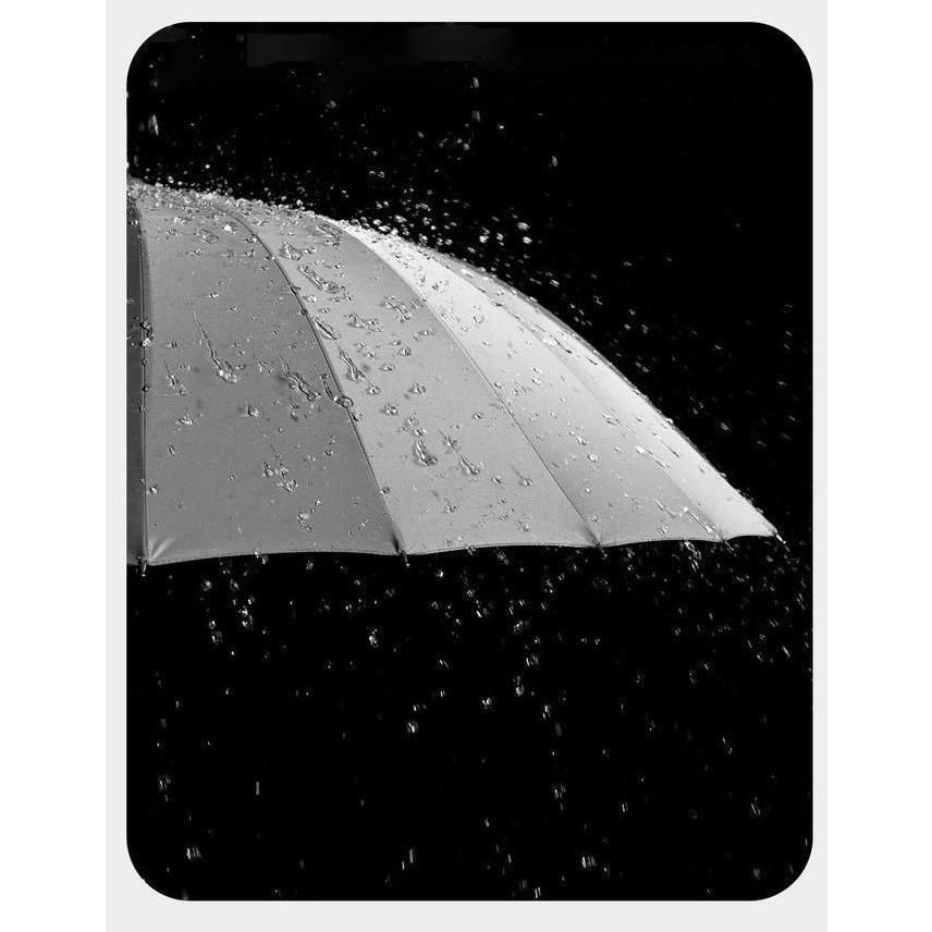 雨傘