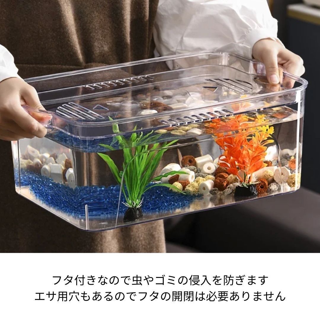 水槽 蓋付き メダ家 メダカタンク クリア インテリア 透明 プラスチック プラ水槽 アクアリウム テラリウム 自由研究 夏休み 熱帯魚 卓上  AQUARIUM すいそう おしゃれ メダカ かわいい オブジェ 金魚 めだか 亀 カメ トカゲ 爬虫類 水槽用 - メルカリ