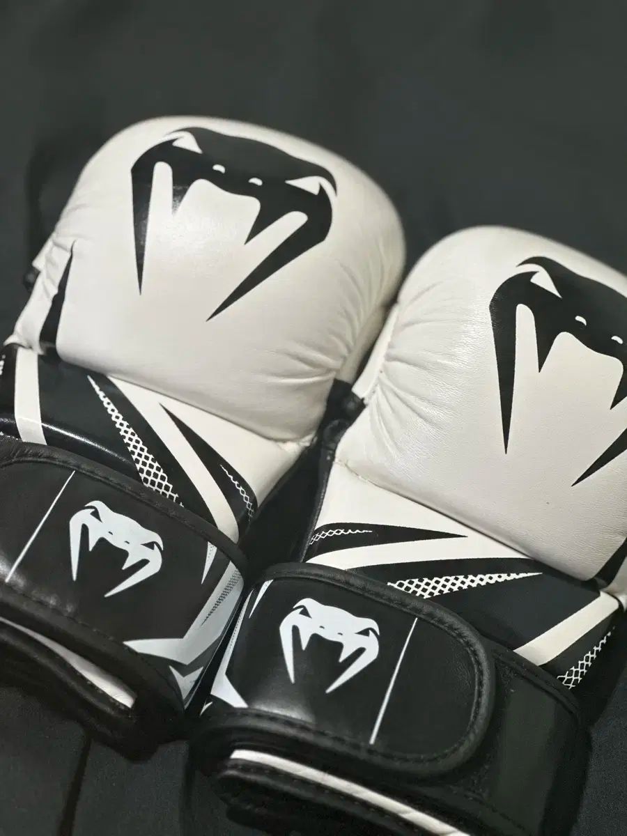 VENUM（ヴェナム） 挑戦者 3 0 mma グローブ 販売
