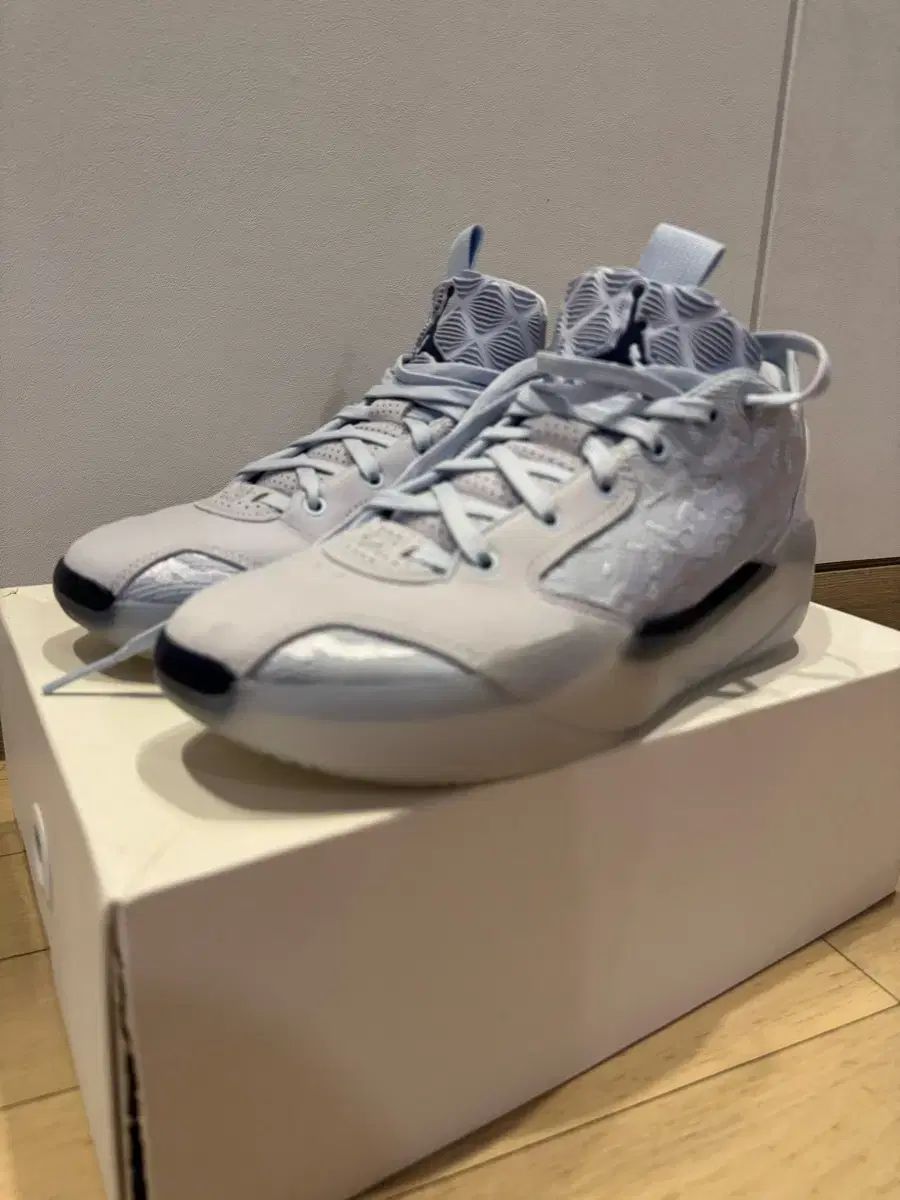 NIKE ナイキ ジョーダン 39 ハーフブルー 270