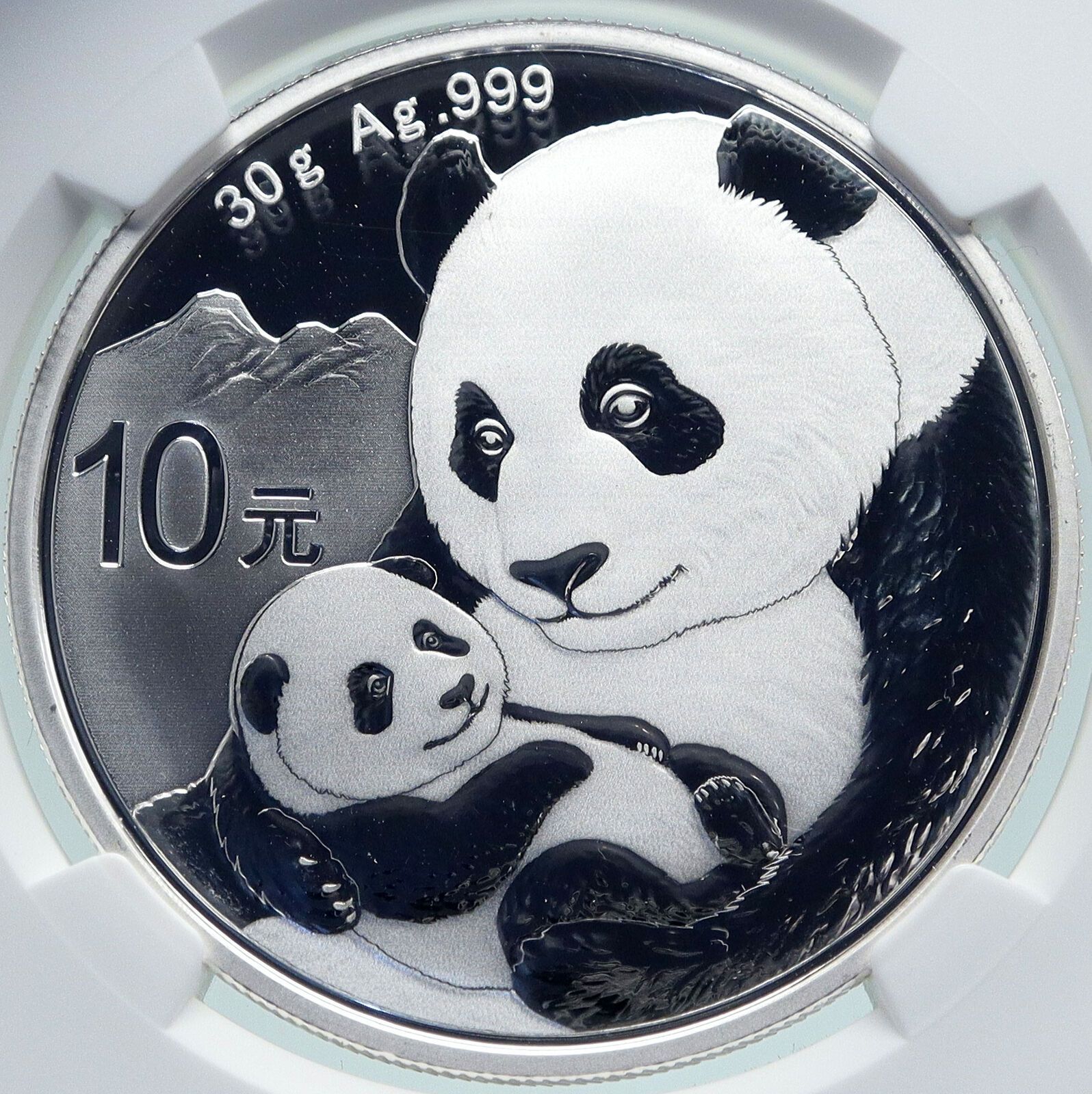 2019 CHINA PANDA MOM CUB Proof Silver 10 Yuan Chinese Coin NGC MS70 i86685