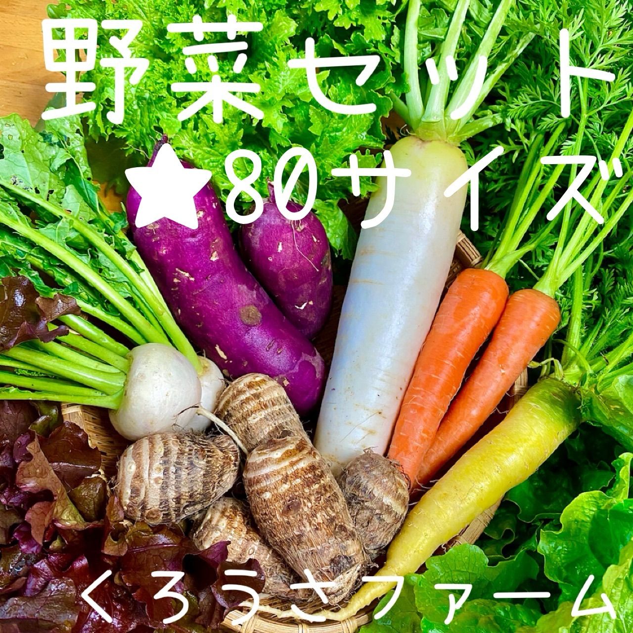 無料配送 農薬不使用 野菜詰め合わせ 純白ゴーヤ バターナッツかぼちゃ