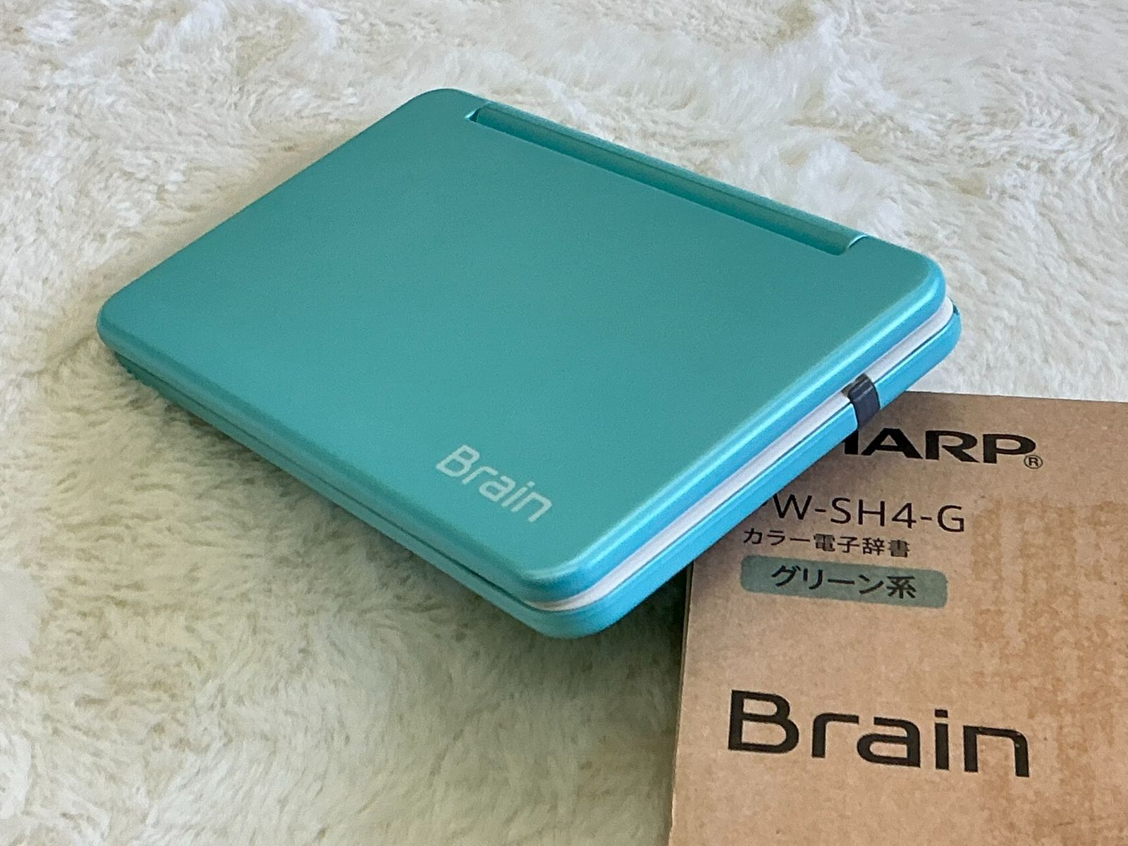 Brain PW-SH4-G