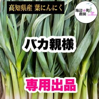 バカ親様専用 高知県産【高級食材♪葉ニンニク】産地直送！ - 海辺の町