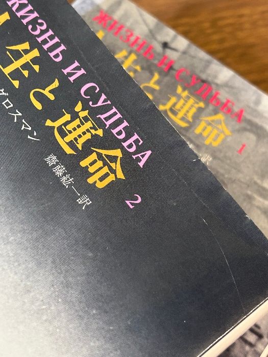 人生と運命 全巻セット 1巻〜3巻 完結 ワシーリー・グロスマン