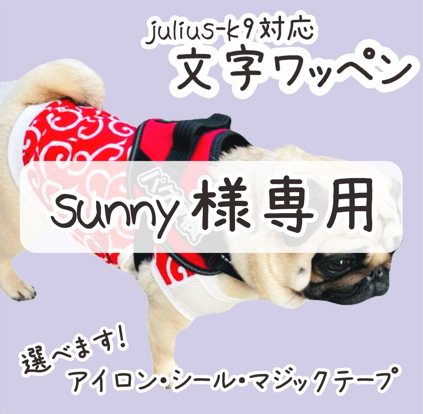 サニー@早見一覧作成済様専用 鉄コンピ 金の卵編 【公式通販】