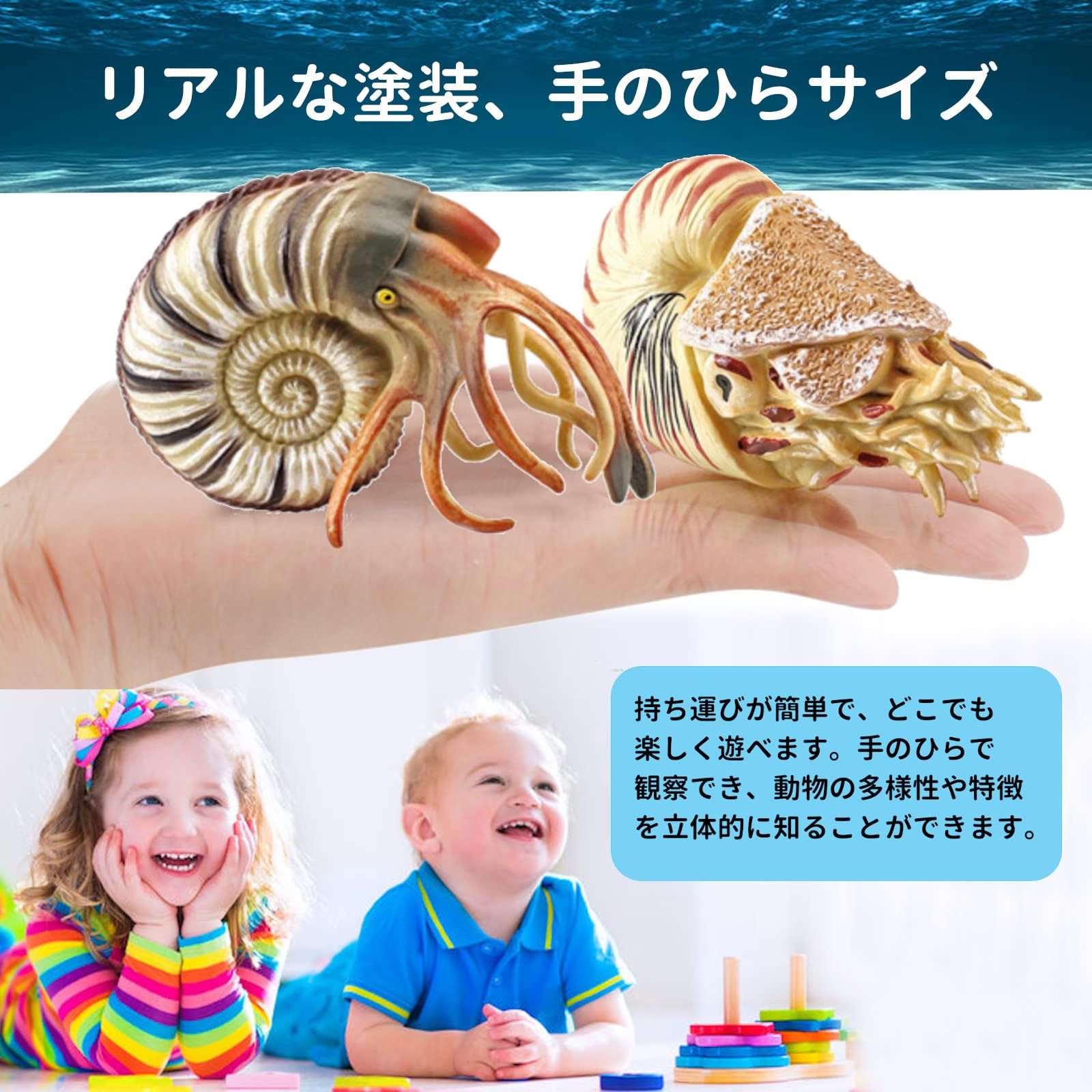 UTST オウムガイ フィギュア アンモナイト オウムガイ 貝殻