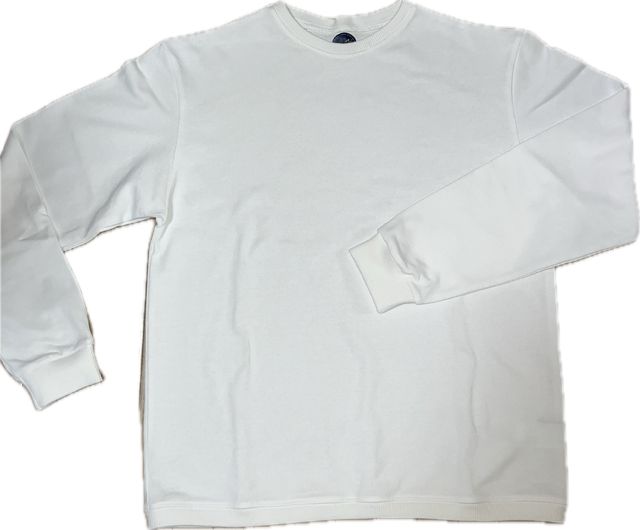 サンバイザーの下がり修理（ローバー ミニ・MK X）by ミッチョ＠名古屋