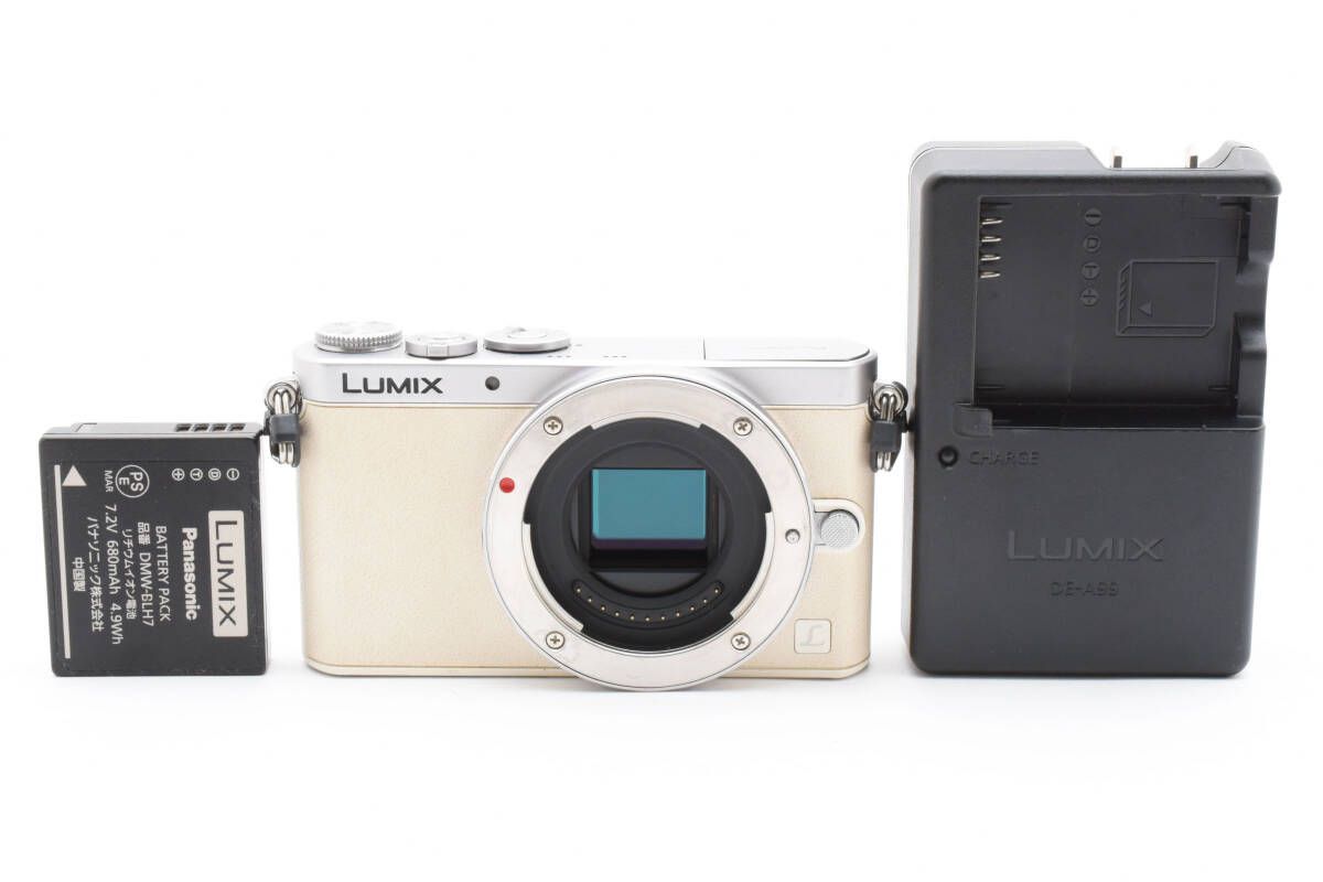 ☆極上品☆パナソニック Panasonic LUMIX DMC-GM1ボディ #2694W06002 