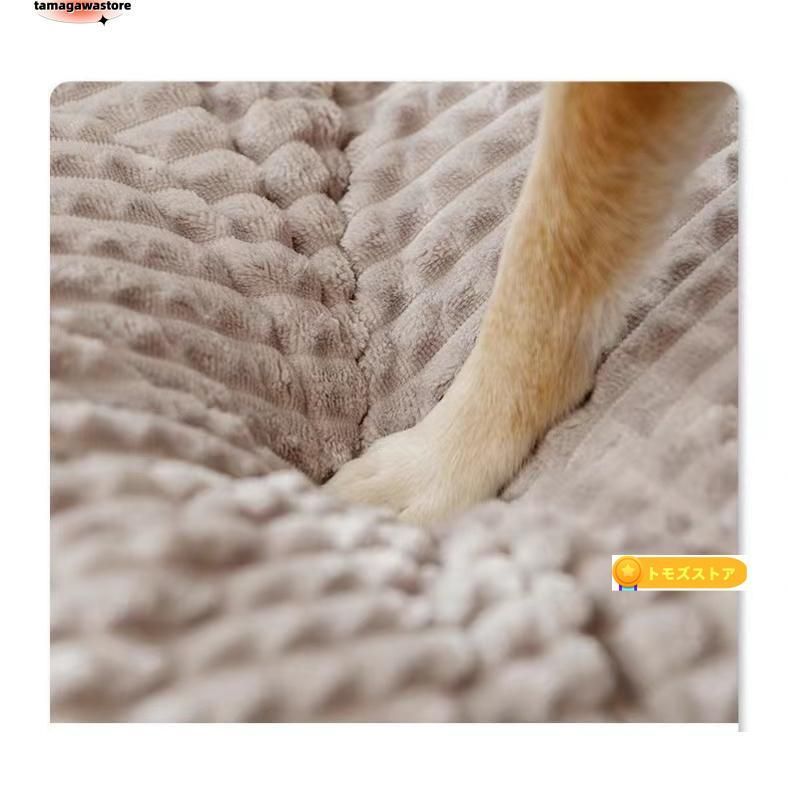 ベッド 犬