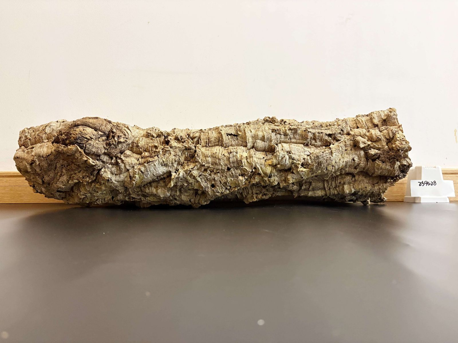 コルク板 バージンコルク