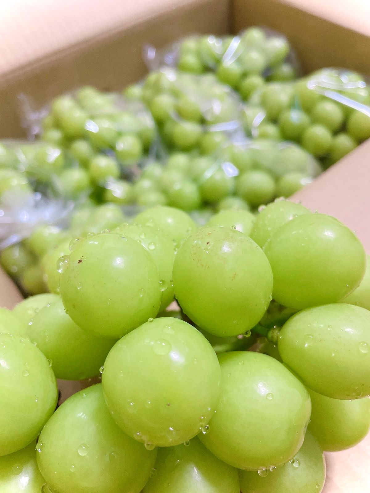 山梨県産💚大粒シャインマスカット3kg (3名〜5名様向け)【8月
