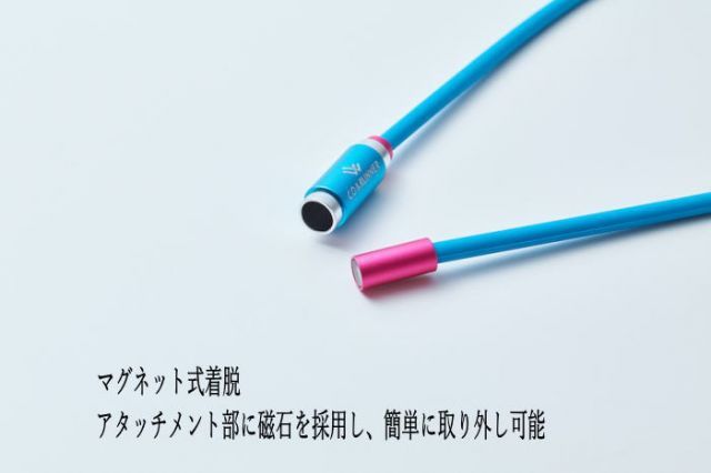 種類3 ブラック