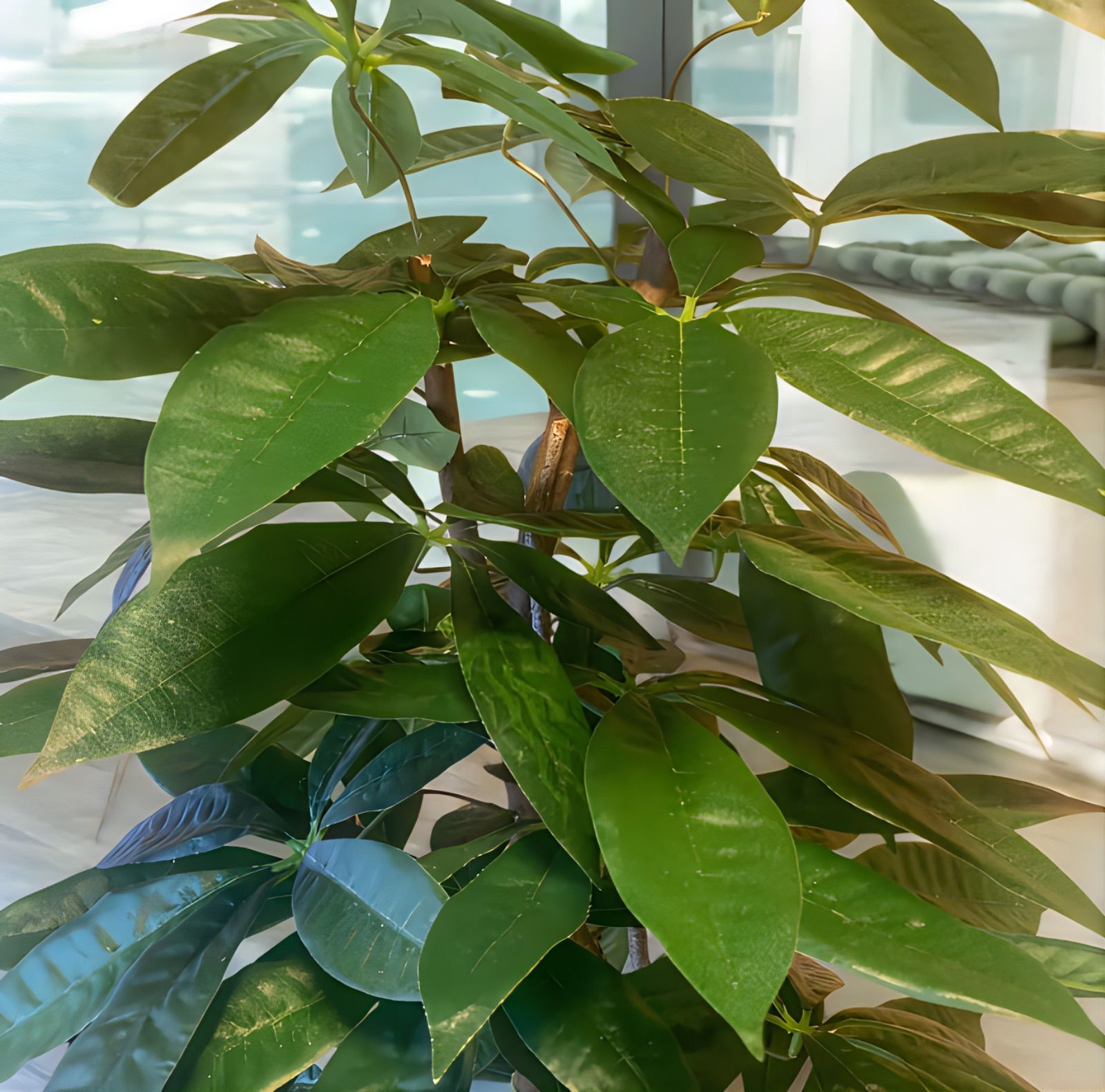 光触媒 人工観葉植物 ウォールグリーン フェイクグリーン スリムパキラ