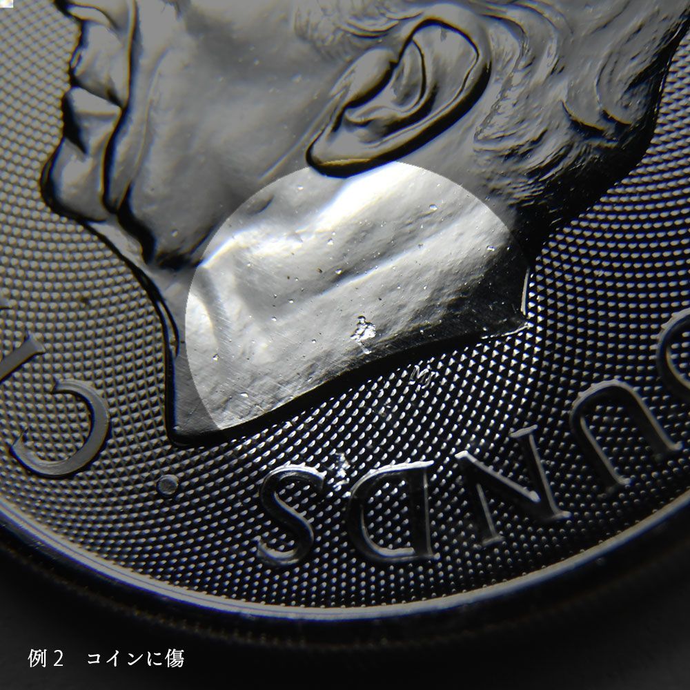 イギリス 2023 ロイヤルアームズ 2ポンド 1オンス 銀貨 【1枚