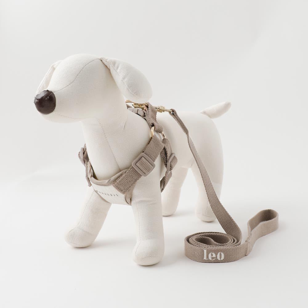 小型犬