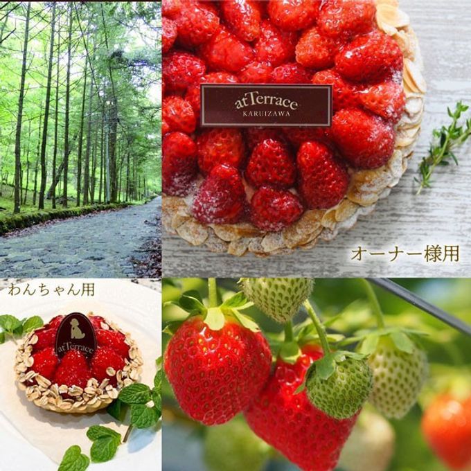 楽天市場】資生堂 トライアル セットの通販 資生堂 トライアルポーチ