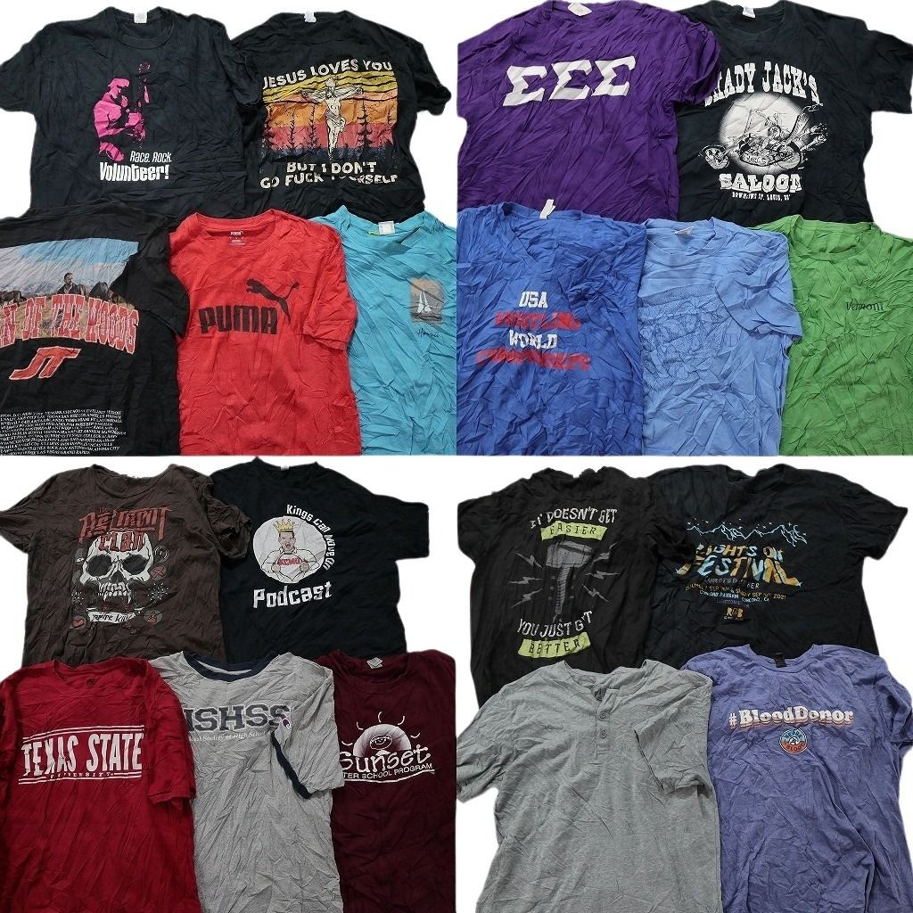 古着卸 まとめ売り カラーmix プリント 半袖Tシャツ 19枚セット (メンズ L ) チャンピオン プーマ ヘンリーネック MT9842