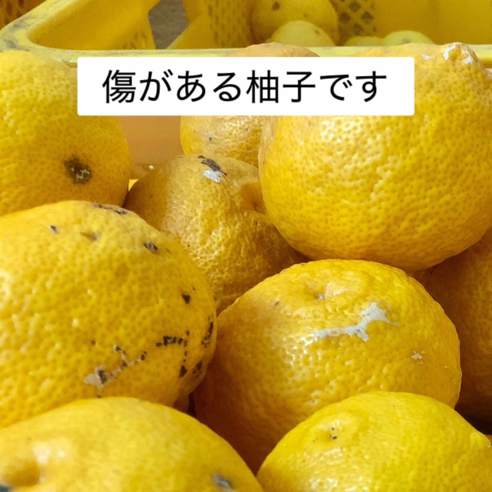 【農家直送】本柚子 5kg