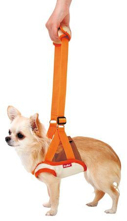 同梱不可 6個セット ペティオ老犬介護用歩行補助ハーネス前足用KS
