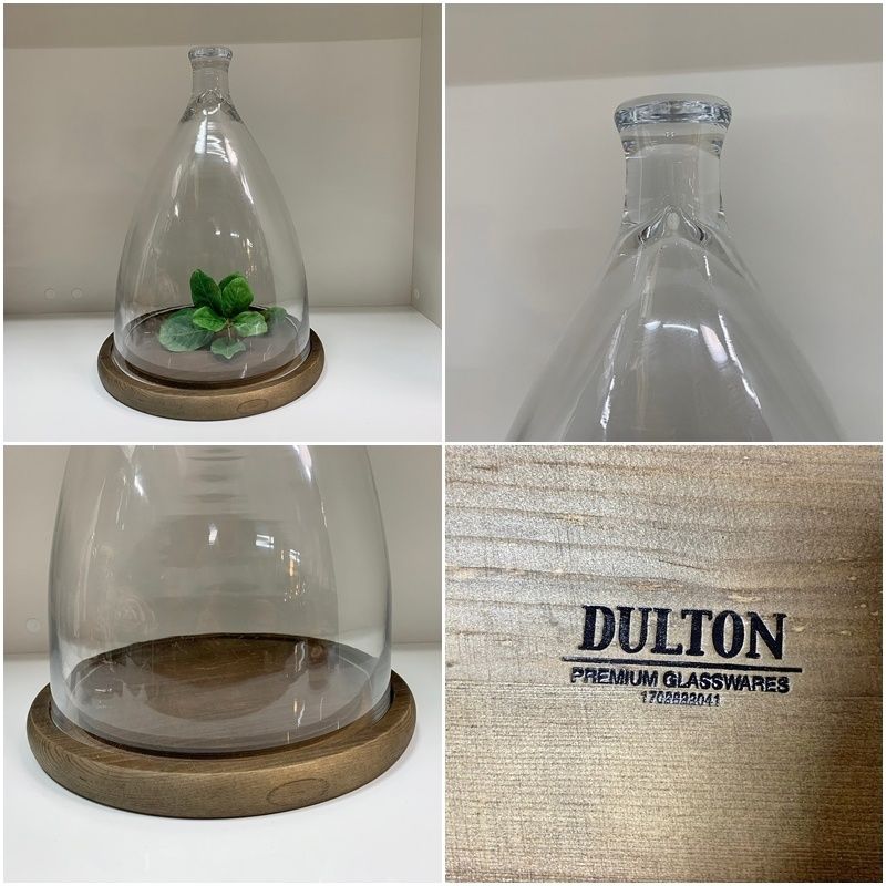 ダルトン DULTON ガラスドーム クローシュ Mサイズ ディスプレイ