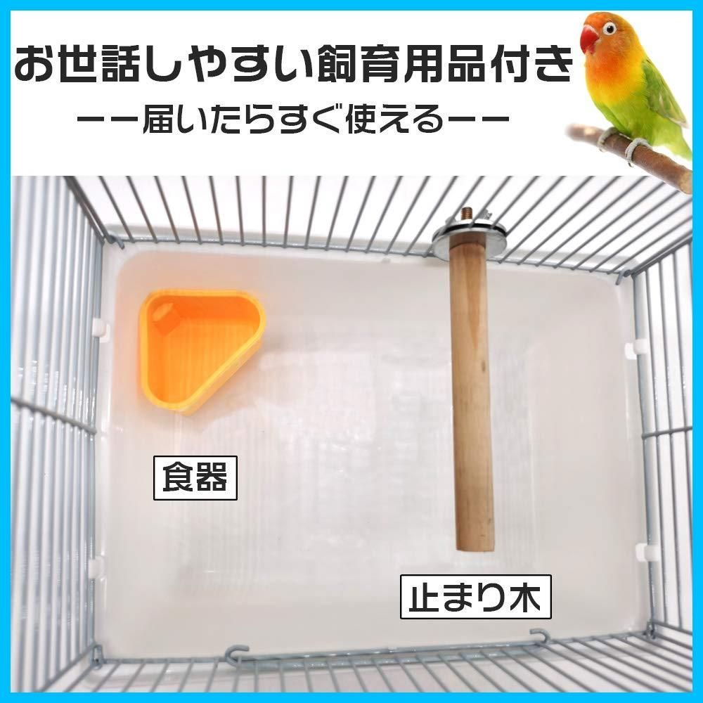 迅速発送】Gifty 文鳥 かご 止まり木 餌入れ 鳥 キャリー ケージ セキセイインコ バードパレス 手のり 移動用 通院 お出かけ ゲージ -  メルカリ