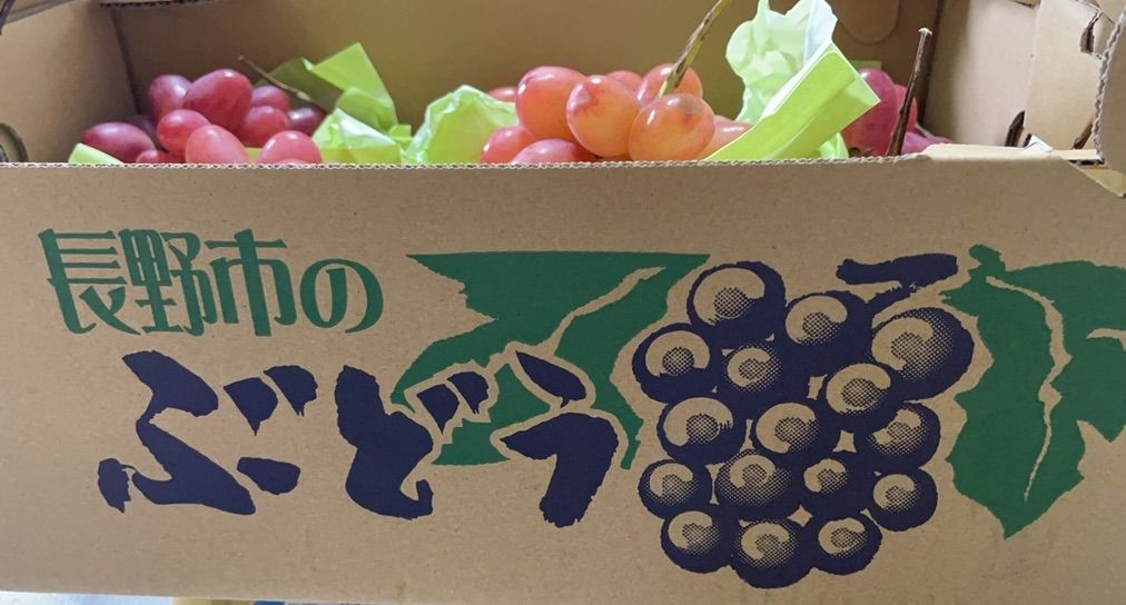 房の販売❣️梱包材込み5kg❣️長野県産 クイーンルージュ 訳 房の販売❣️梱包材込み5kg❣️長野県産 クイーンルージュ 訳
