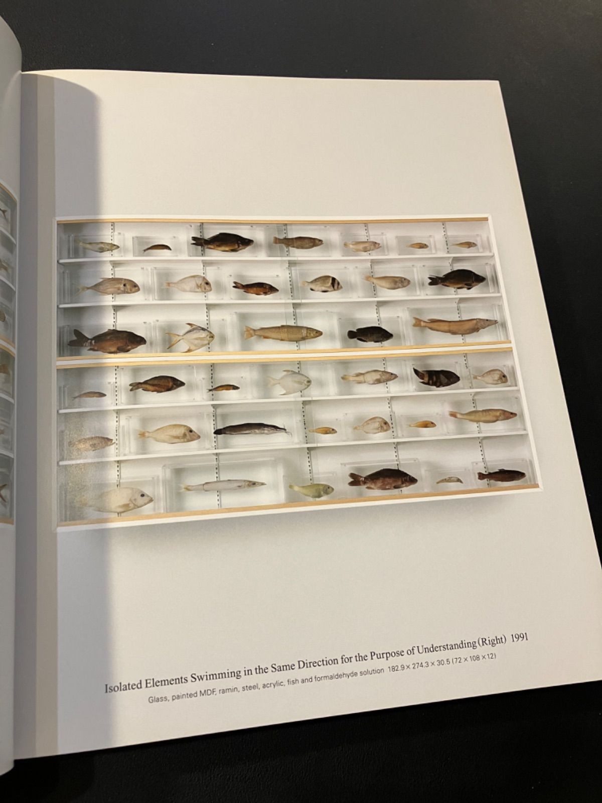 ダミアンハースト　作品集 DAMIEN HIRST ダミアン・ハースト 作品集