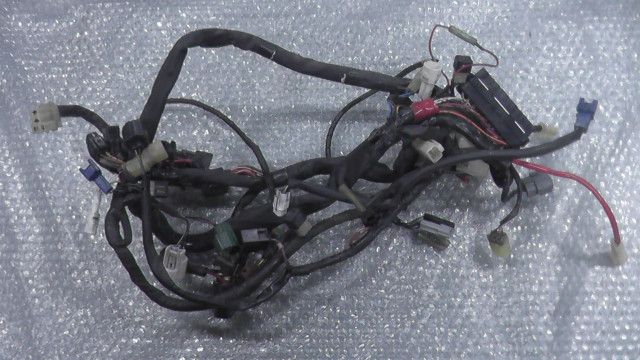 YZF-R1 JYARN095000000xxx の メインハーネス 1757560524