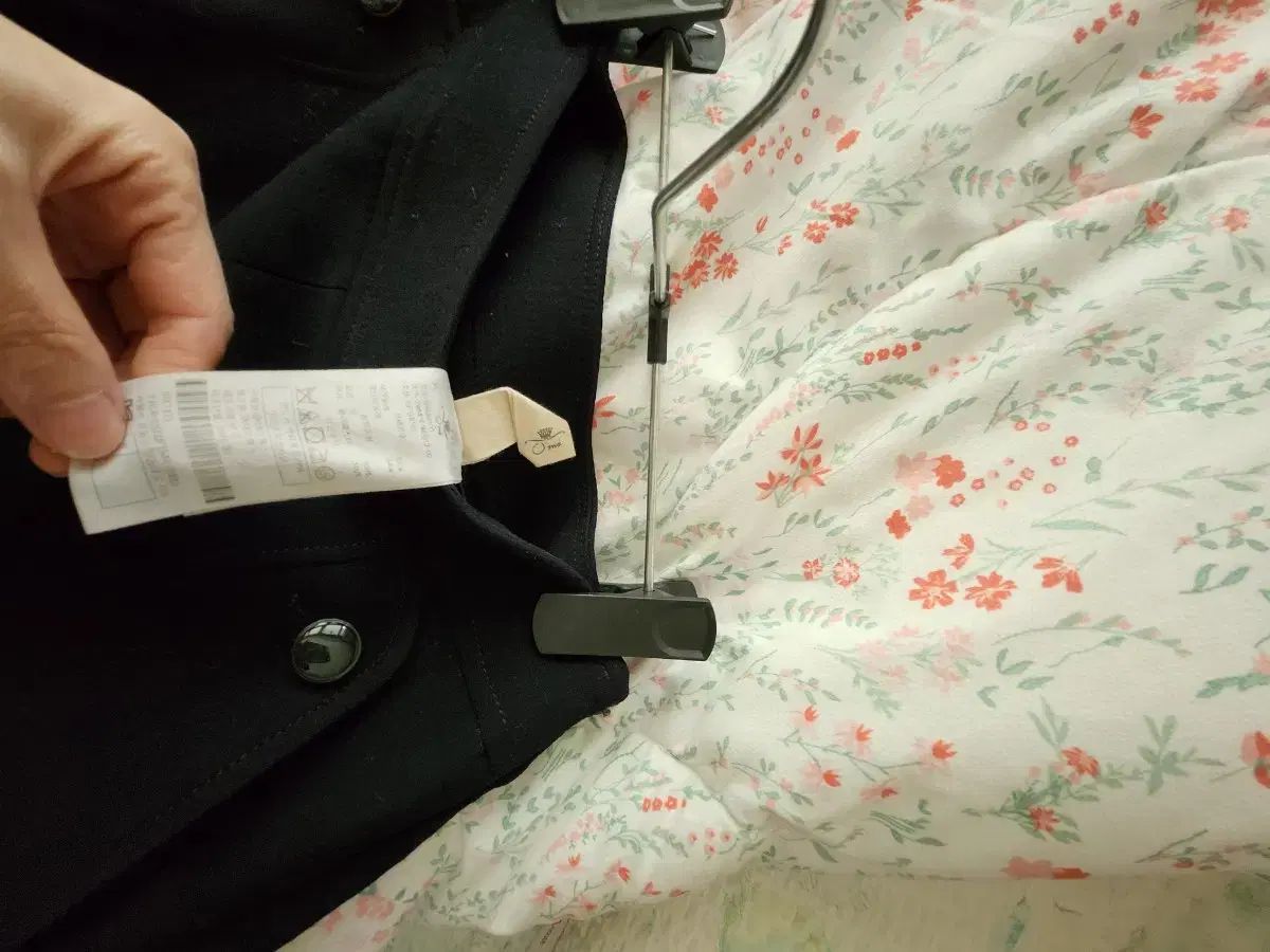 オッズセカンド