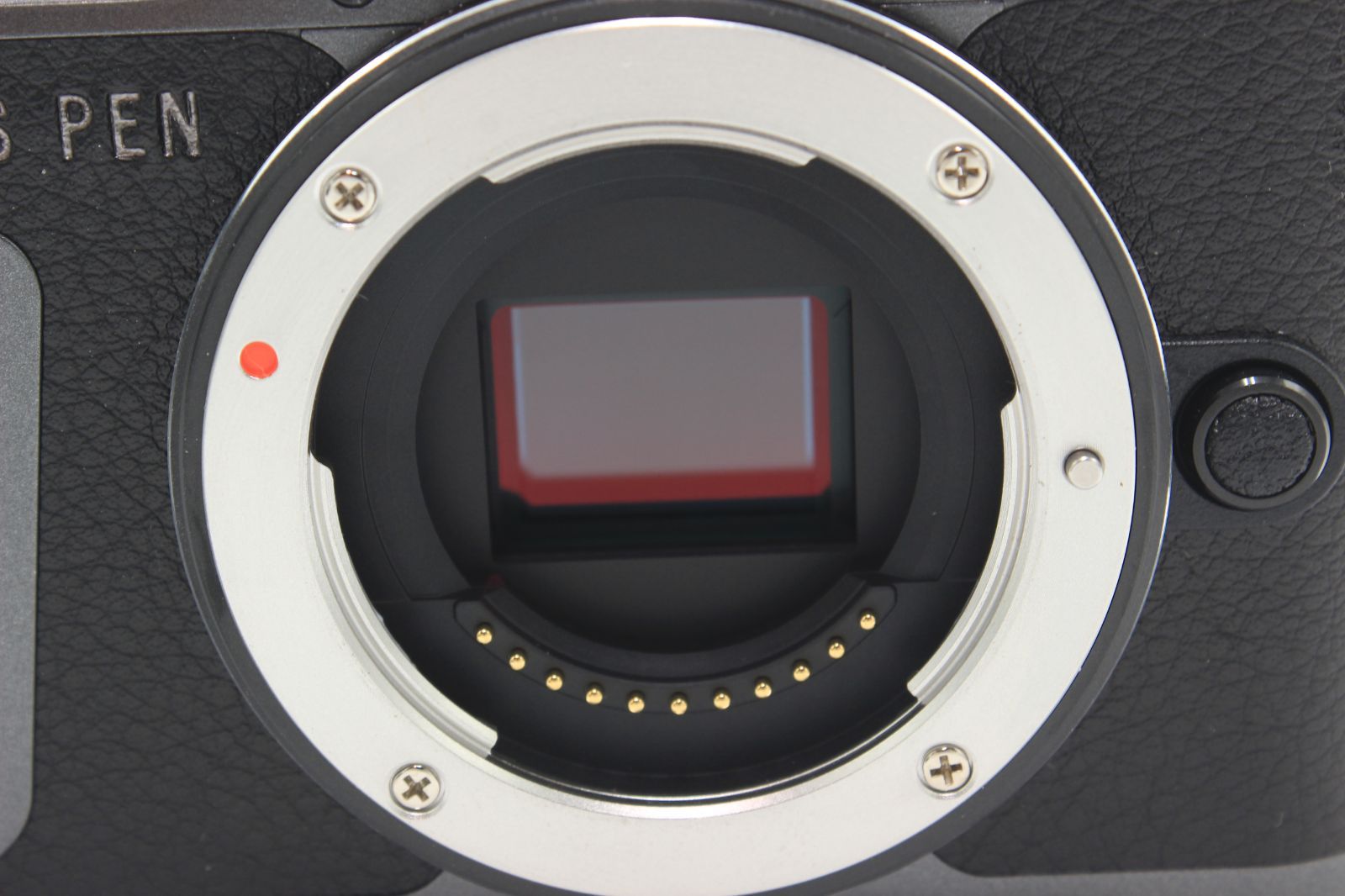 OLYMPUS PEN E-PL10 EZレンズキット ブラック 255ショット！OLYMPUS