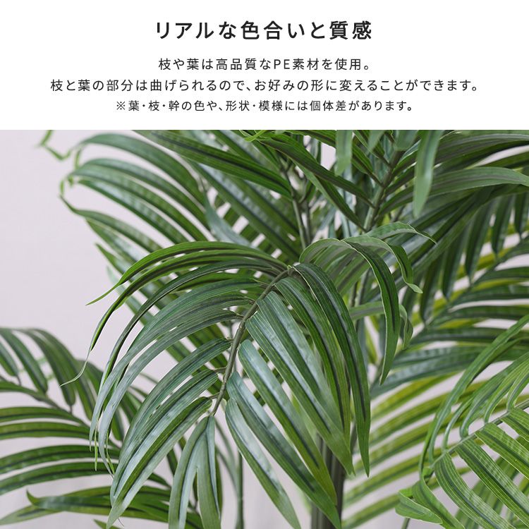 Lサイズ 2801
