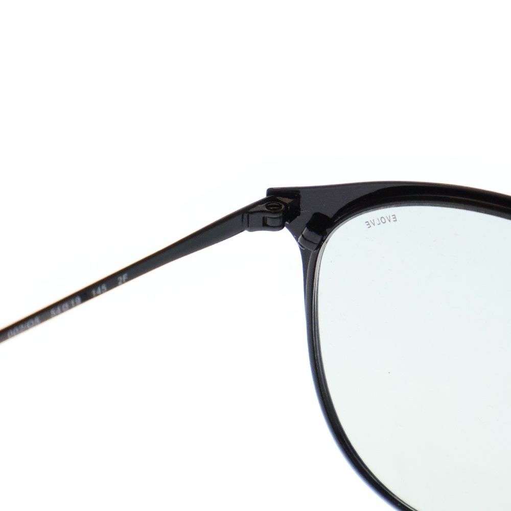 Ray Ban (レイバン) ERIKA METAL エリカ メタル ウェリントン