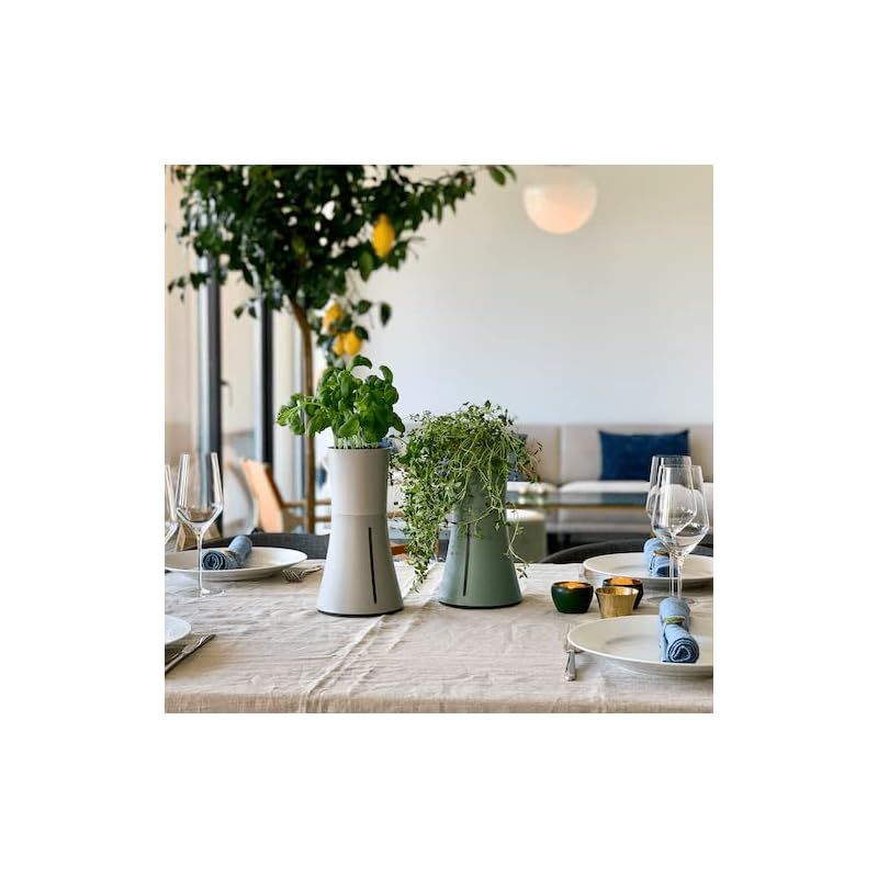 水耕栽培キット