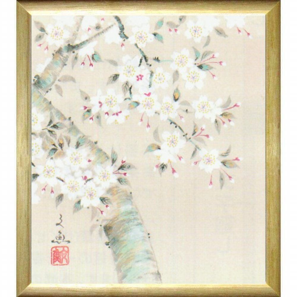 ☆ 中谷文魚『桜・色紙(ナチュラル)』日本画・静物画 満開 花鳥・日本