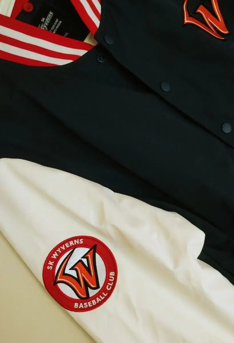 ワイバーンズ 秋冬