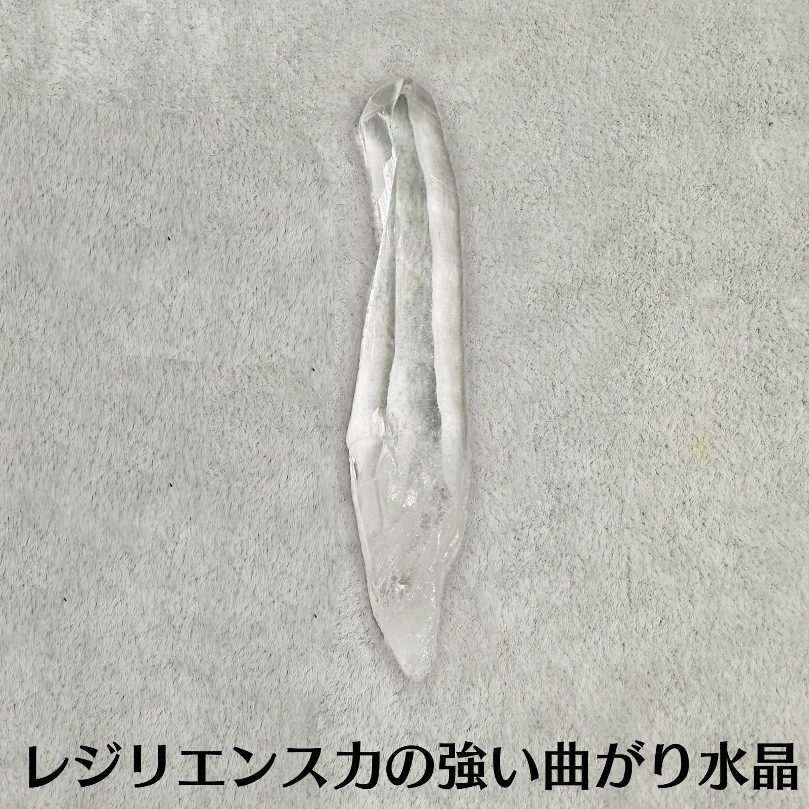 ポイント付き