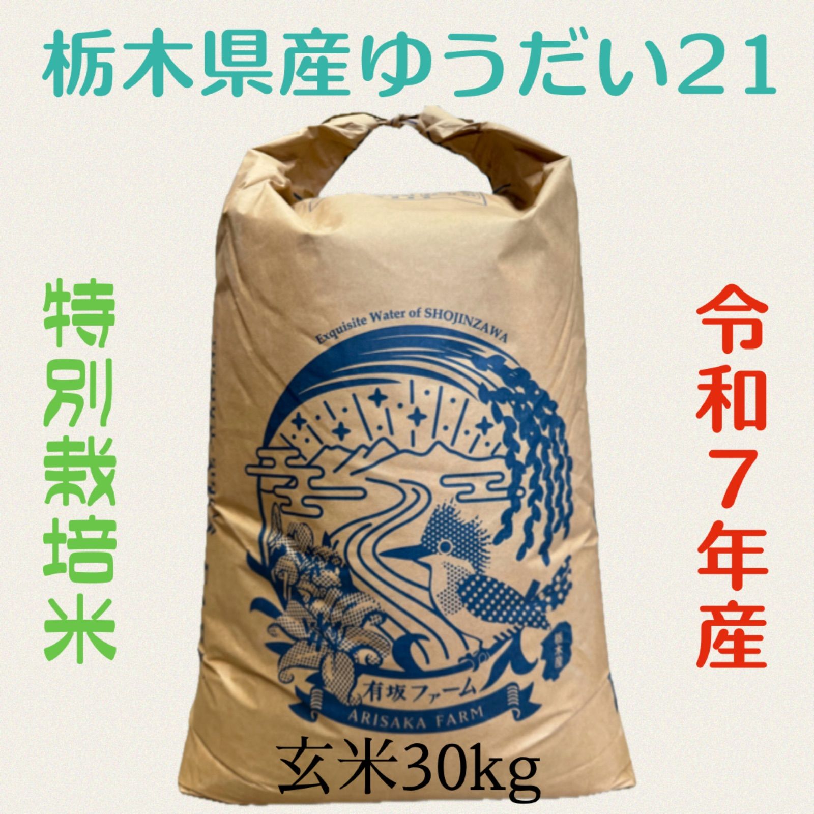 栃木県産ゆうだい21 特別栽培米 玄米30kg