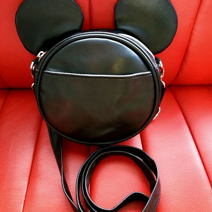 ディズニーリゾート バッグ カチューシャ ディズニーランド